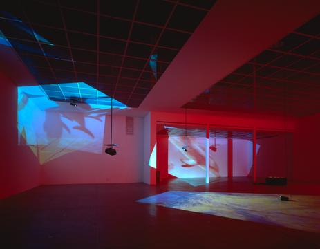 Color_Delphine_Secession_2000_02