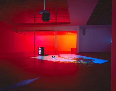 Color_Delphine_Secession_2000_04