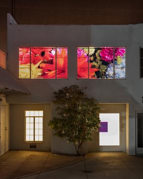 Colorvision Outside