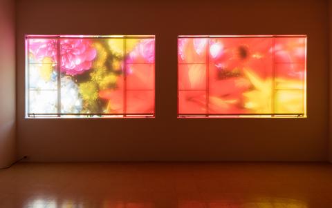 Colorvision Windows