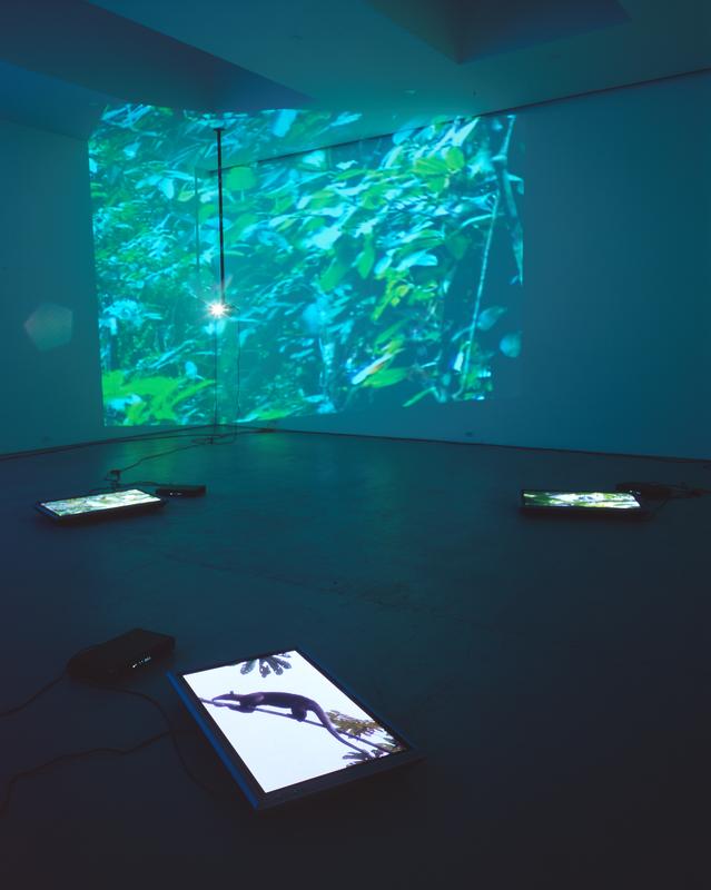 Continuous. Contiguous., 2005 Four (4) video projectors, three (3) flat screen monitors, seven (7) media players, one (1) synchronizer and existing architecture Dimensions variable Installation view, David Zwirner, New York, 2005 