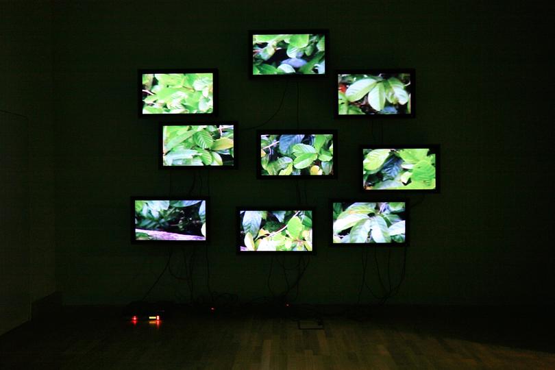 Continuously Only , 2006 Nine (9) video monitors, one (1) media player, one (1) distribution amplifier Dimensions variable Installation view, Thyssen-Bornemisza Art Contemporary, Vienna, Austria, 2006 