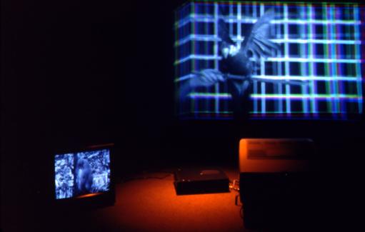 Scarlet Macaw Crayons , 1995 One (1) video projector, one (1) media player, Lee filters and existing architecture Dimensions Variable Installation view, Henry Art Gallery, Seattle, 1997 Moluccan Cockatoo Molly , 1995 Video installation with window film Dimensions Variable Installation view, Henry Art Gallery, Seattle, 1997  