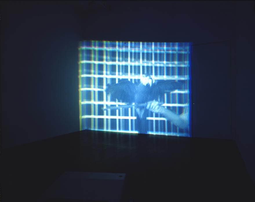 Scarlet Macaw Crayons , 1995 One (1) video projector, one (1) media player, Lee filters and existing architecture Dimensions Variable Installation view, David Zwirner, New York, NY, 1996