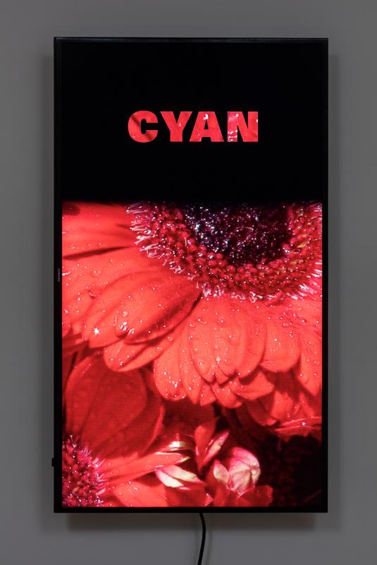 Colorvision Cyan , 2016 One (1) flat panel monitor, one (1) media player Dimensions variable Installation View, 1301PE, Los Angeles, 2016