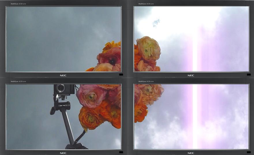 Untitled (Sylvester and Tweeter) , 2011 Four (4) monitors, one (1) media player Dimensions variable 