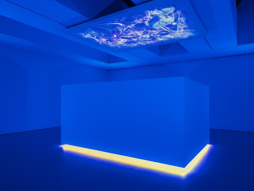 Science, Fiction , 2014 Two (2) video projectors, one (1) media player, and lights Dimensions Variable Installation view, David Zwirner Gallery, New York, 2015