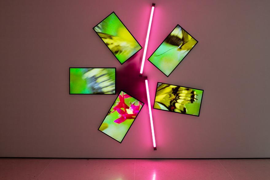 Natural History One, 2019 Five (5) monitors, one (1) media player and two (2) LED light fixtures