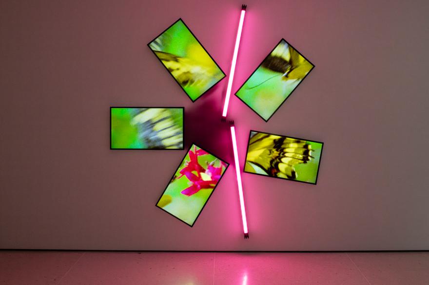 Natural History One, 2019 Five (5) monitors, one (1) media player and two (2) LED light fixtures On view at Kunsthaus Zug, 2024