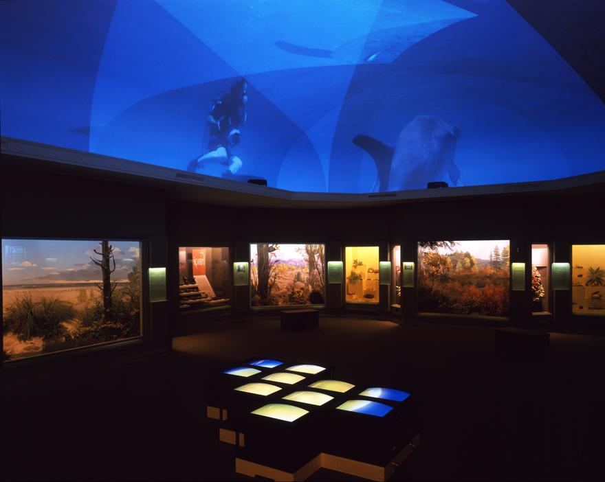 Delphine and Sun Puzzlepiece Videowall , 2000 Installation view, Carnegie Museum of Art, Pittsburgh, PA, 1999/2000 