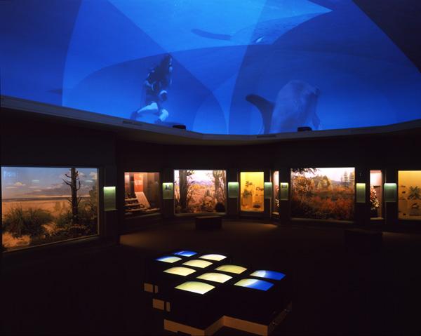 Delphine and Sun Puzzlepiece Videowall , 2000 Installation view, Carnegie Museum of Art, Pittsburgh, PA, 1999/2000 