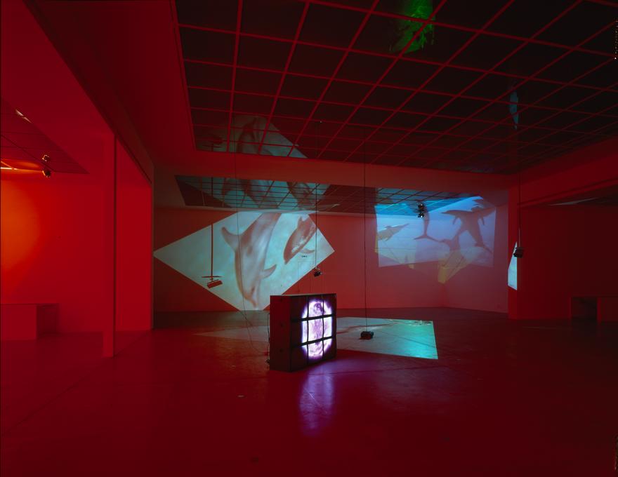 Delphine , 1999 Four (4) video projectors, five (5) media players, nine (9) video monitors, one (1) synchronizer, Lee filters and existing architecture Dimensions variable Installation view, Vienna Secessions, Vienna, Austria, 2000