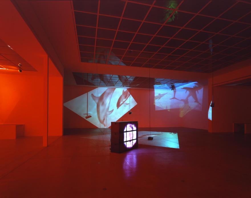 Delphine , 1999 Four (4) video projectors, five (5) media players, nine (9) video monitors, one (1) synchronizer, Lee filters and existing architecture Dimensions variable Installation view, Vienna Secessions, Vienna, Austria, 2000