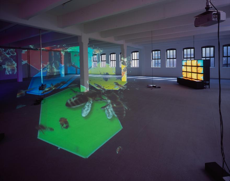 knots + surfaces, 2001 Five (5) video projectors, one (1) sixteen-monitor video wall, six (6) media players, one (1) distribution amplifier, and Lee filters Installation view, Dia Center for the Arts, New York, 2001 