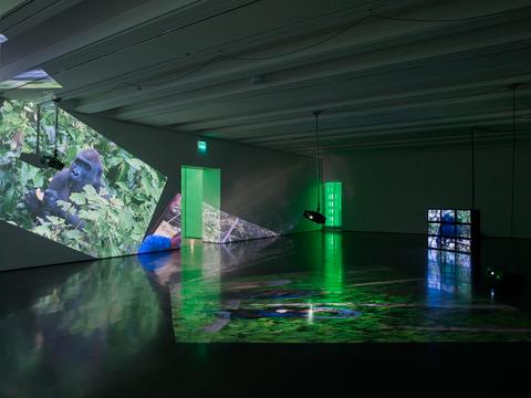 Diana Thater20997 Copy