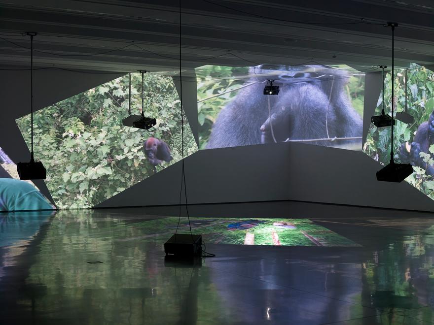 gorillagorillagorilla , 2009 Six (6) video projectors, two (2) video monitors, eight (8) media players, Lee filters and existing architecture Installation View, Aspen Art Museum, 2015  