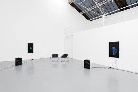 Gehus 2024-Diana Thater-02