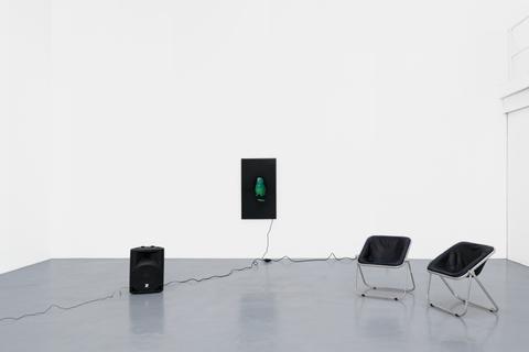 Gehus 2024-Diana Thater-03