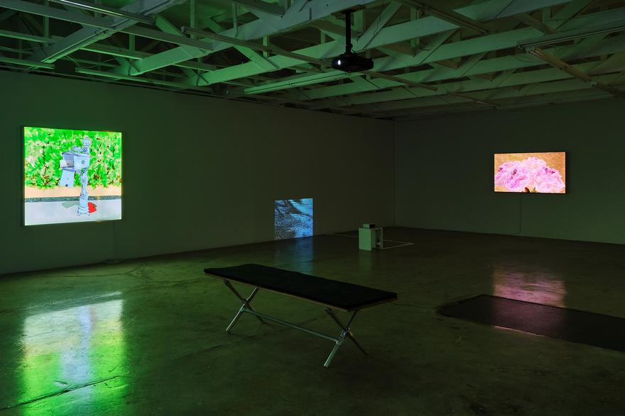 Installation view Photo by Chris Hanke