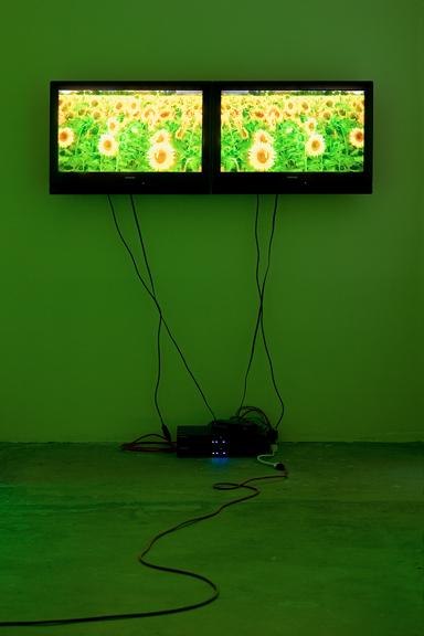 Ginger Kittens, 1994 Two (2) flat panel monitors, one (1) media player and green gels Dimensions variable Installation view, 1301PE, Los Angeles, 2008