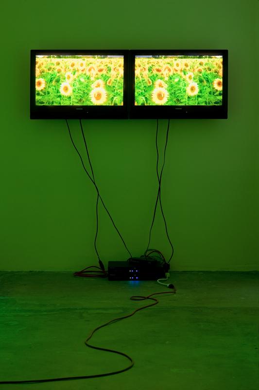 Ginger Kittens , 1994 Two (2) video monitors, one (1) media player and green gels Dimensions variable Installation view, 1301PE, Los Angeles, 2008 Photo by Fredrik Nilsen