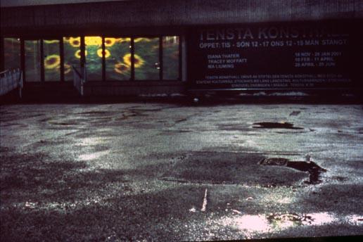 Ginger Kittens , 1994 Two (2) video projectors, one (1) media player  Dimensions variable Installation view, Tensta Konsthall, Spanga, Sweden, 2000