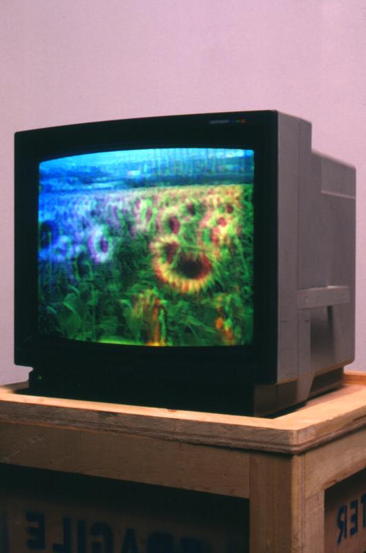 Ginger Kittens, Monitor version , 1994 One (1) altered video monitor, one (1) media player  