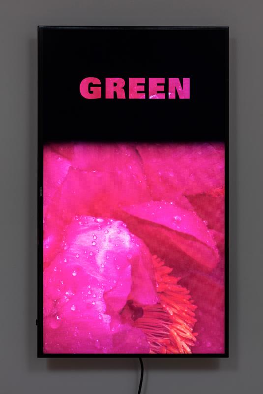 Colorvision Green , 2016 One (1) flat panel monitor, one (1) media player Dimensions variable Installation View, 1301PE, Los Angeles, 2016