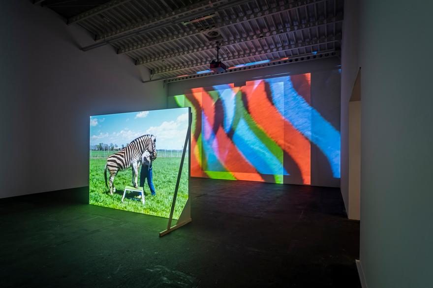 The Best Animals Are the Flat Animals , 1998 Two (2) video projectors, two (2) DVD players, two (2) DVDs, free standing wall and existing architecture Photo by Mathias Voelzke Installation view Hamburger Bahnhof Museum für Gegenwart, Berlin, Germany