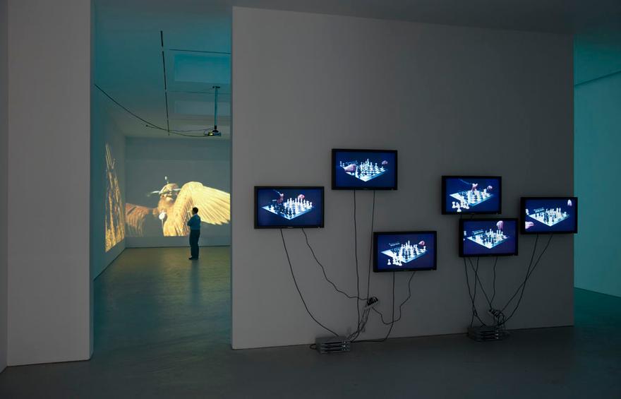 Diana Thater, Here is a text about the world Installation View, David Zwirner, 2008