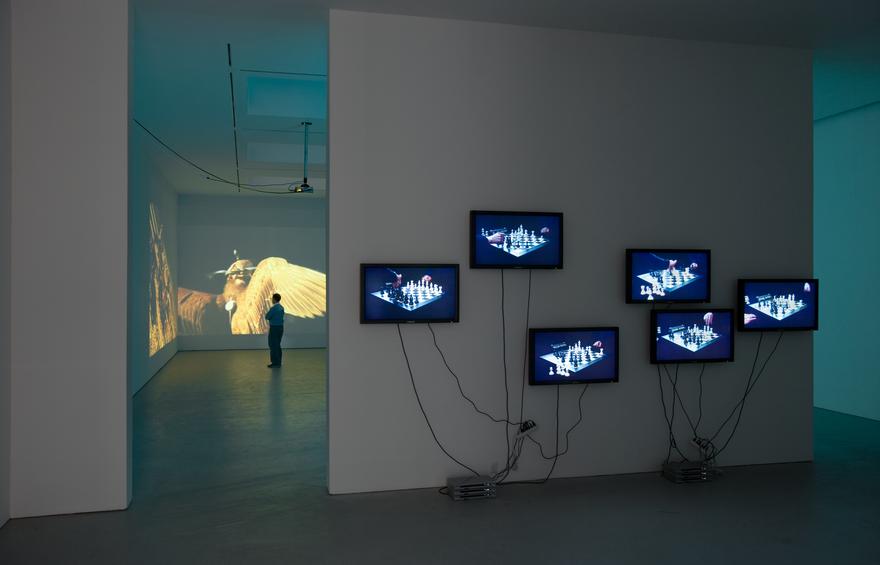 Diana Thater, Here is a text about the world Installation View, David Zwirner, 2008