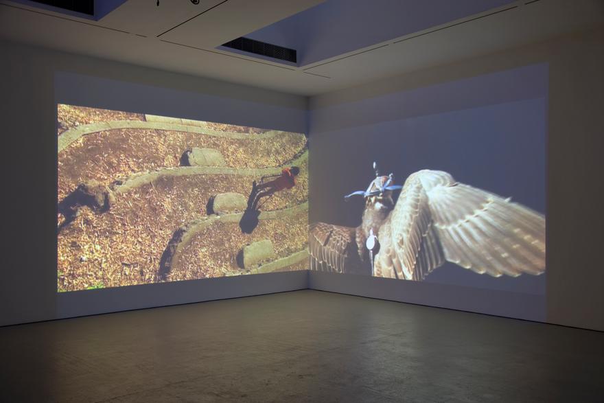 Horus , 2008 Two (2) video projectors, two (2) media players, one (1) synchronizer, one (1) Source Four light Dimensions variable Installation View, David Zwirner, New York, 2008 