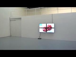 Installation view, Galerie Husseont, Paris, France