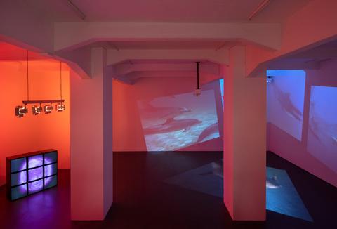 Installationen Aus 25 Jahren Sammlung Falckenberg 9209