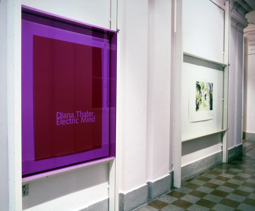 Electric Mind Iris Prints , 1996 1 in a series of 24 Dimensions variable Installation view, Salzburger Kunstverein, Salzburg , Austria, 1996 