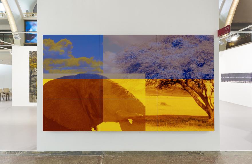 Collage with Elephant , Tree, and Sky, 2019 Nine (9) monitor videowall