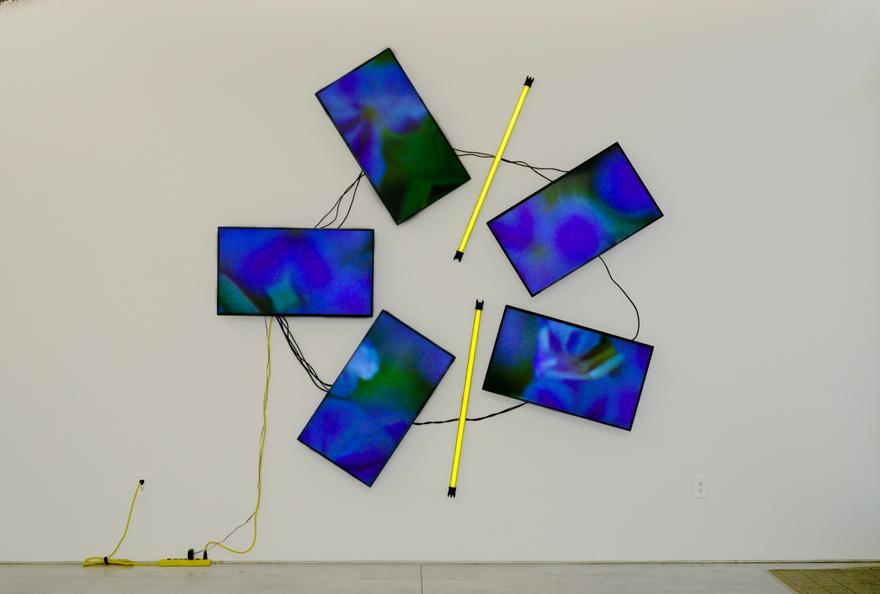 Natural History One , 2019 Five (5) monitors, one (1) media player and two (2) LED light fixtures Dimensions variable Installation view Descanso Gardens, Los Angeles, CA