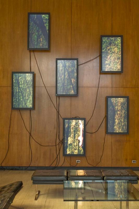 Perfect Devotion Six , 2006 Six (6) flat panel monitors, one (1) media player, one (1) distribution amplifier Dimensions variable Installation view, Los Angeles County Museum of Art, Los Angeles, 2007 