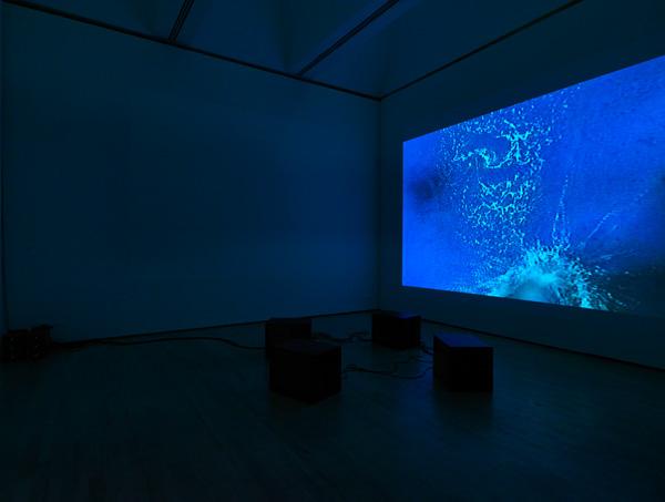 The Caucus Race , 1998 Two (2) video projectors, four (4) video monitors, six (6) media players, one (1) synchronizers and Lee Filters Installation view, Museo d’Arte Moderna e Contemporanea di Trento e Rovereto, Rovereto, Italy, 2012