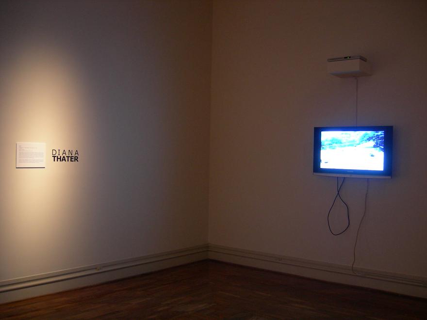 Shilo , 1995 One (1) monitor, one (1) media player Dimensions Variable Installation view, The Columbus Museum,  Columbus, Georgia, 2009