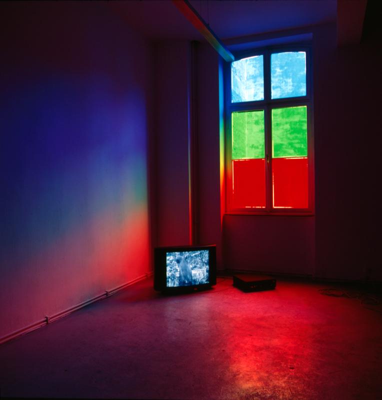 Moluccan Cockatoo Molly , 1995 (1 - 10) Video installation with window film Dimensions variable Installation view, Schipper & Krome, Koln, Germany, 1995