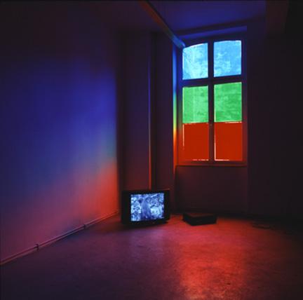 Moluccan Cockatoo Molly , 1995 (1 - 10) Video installation with window film Dimensions variable Installation view, Schipper & Krome, Koln, Germany, 1995