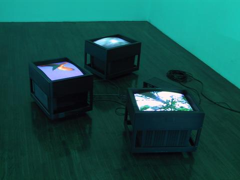 Monitors With Images