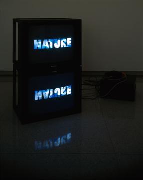Nature Is A Language
