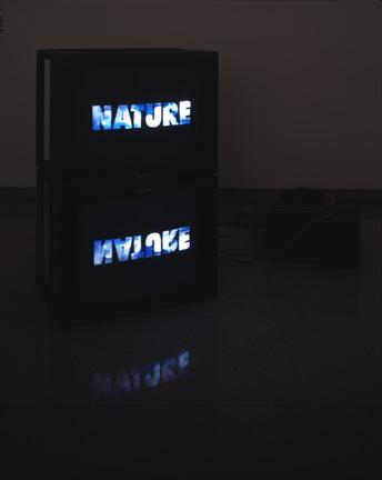 Nature is a Language, Can't you read?, 1997 One (1) video projector, two (2) video monitors, three (3) media players, one (1) synchronizer Installation view, Walker Art Center, Minneapolis, MN, 1997