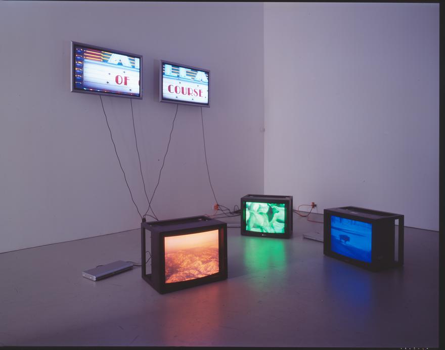 A Series of Events , 2003 Two (2) flat screen monitors, two (2) media players, one (1) synchronizer  and Snake River, 1994 Three (3) video monitors, three (3) media players  Installation view, David Zwirner, New York, 2005  