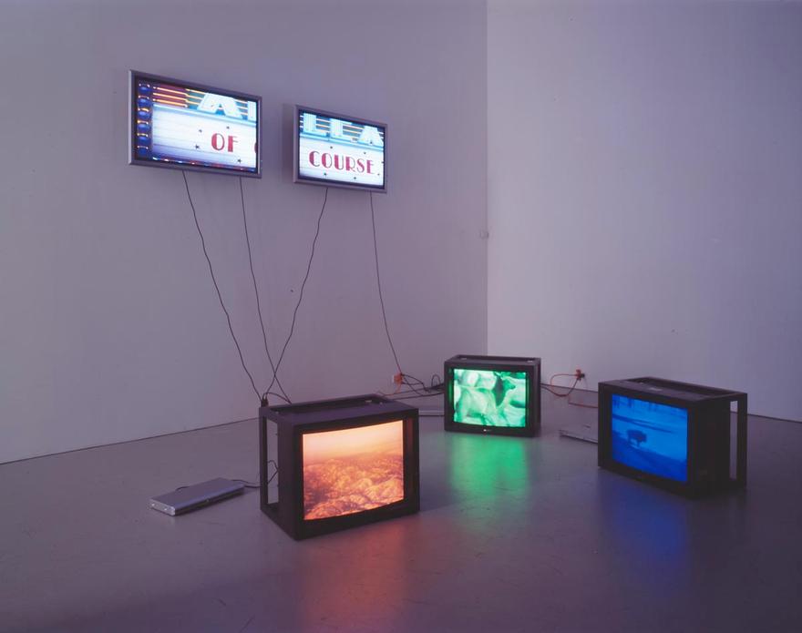 A Series of Events , 2003 Two (2) flat screen monitors, two (2) media players, one (1) synchronizer  and Snake River, 1994 Three (3) video monitors, three (3) media players  Installation view, David Zwirner, New York, 2005  