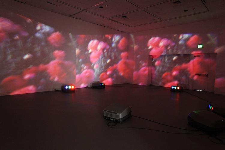 Wicked Witch , 1996 Five (5) video projectors, five (5) media players Dimensions variable Installation view, Orange County Museum of Art, Newport Beach, California, 2014