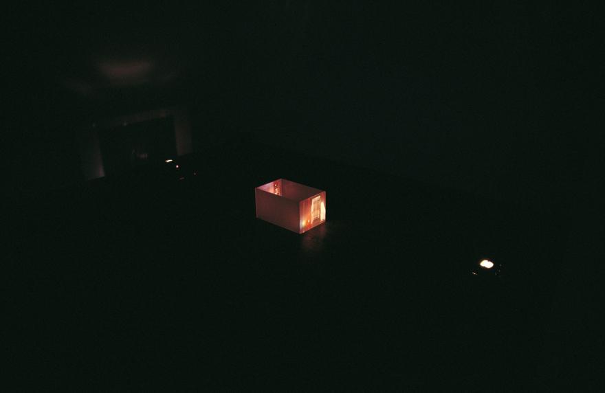 Occident Trotting Model , 1992 Plexiglass, glue, color transparencies, two (2) video projectors, two (2) media players Installation view, David Zwirner, New York ,NY, 1993 