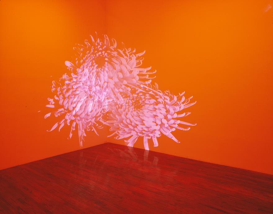 Photo by Fredrik Nilsen